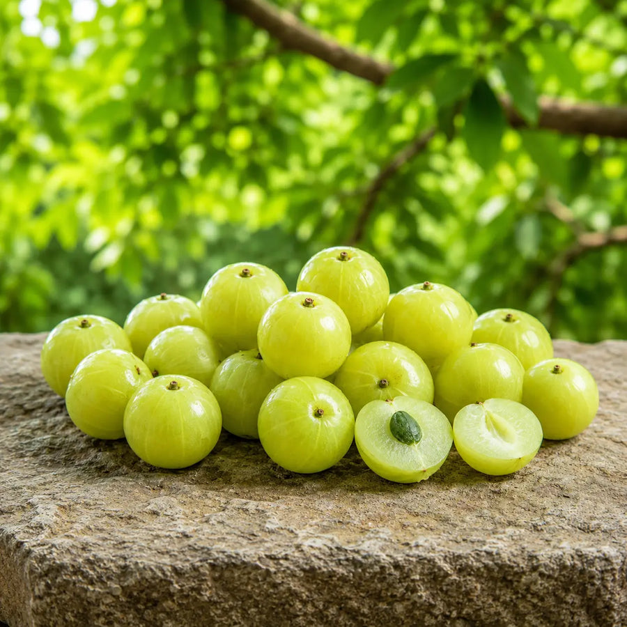 Novida Amla Nerve Support