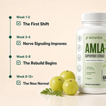 Novida Amla Nerve Support