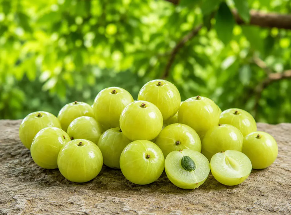 One Fruit, Done Right